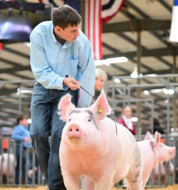 Dr. Lyndi Smart's son in a pig showing event
